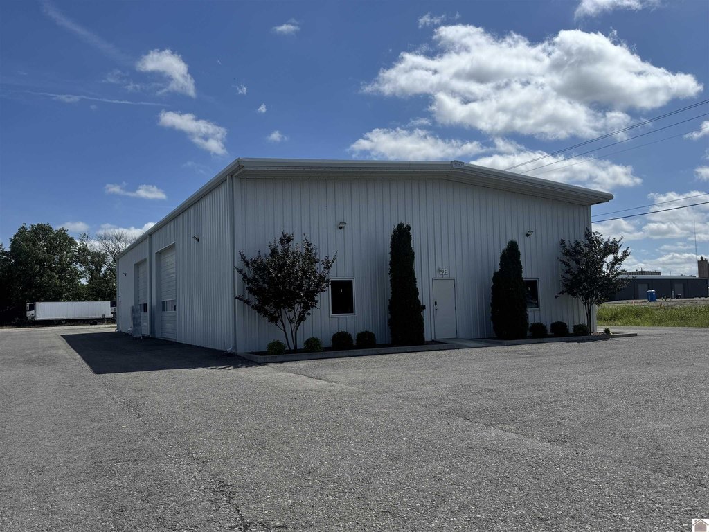 Picture 19