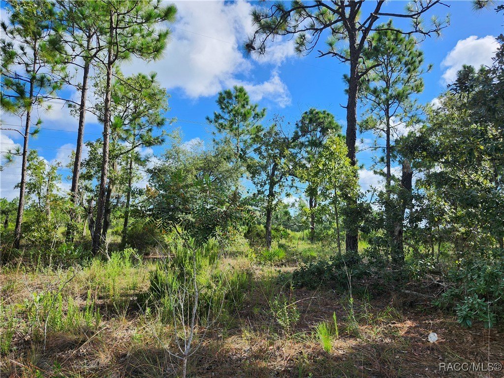 Picture 5