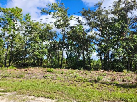 Land, Dunnellon, FL
