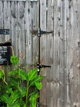 LAND - New Orleans, LA