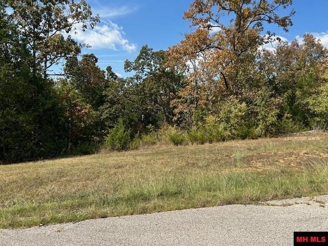 Ozark Foothills Wooded Lot