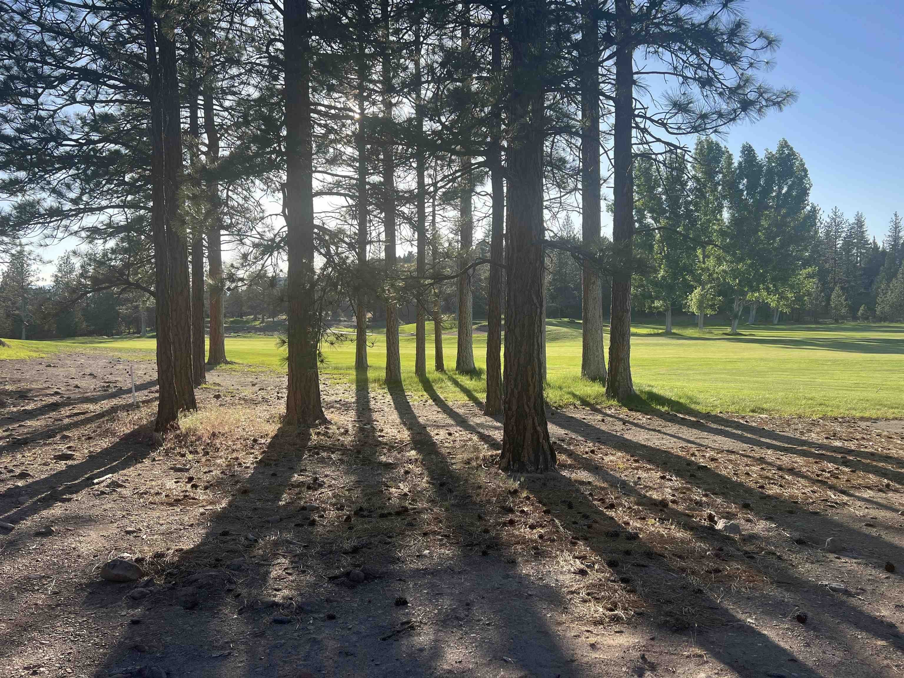 Golf Course Lot in Weed