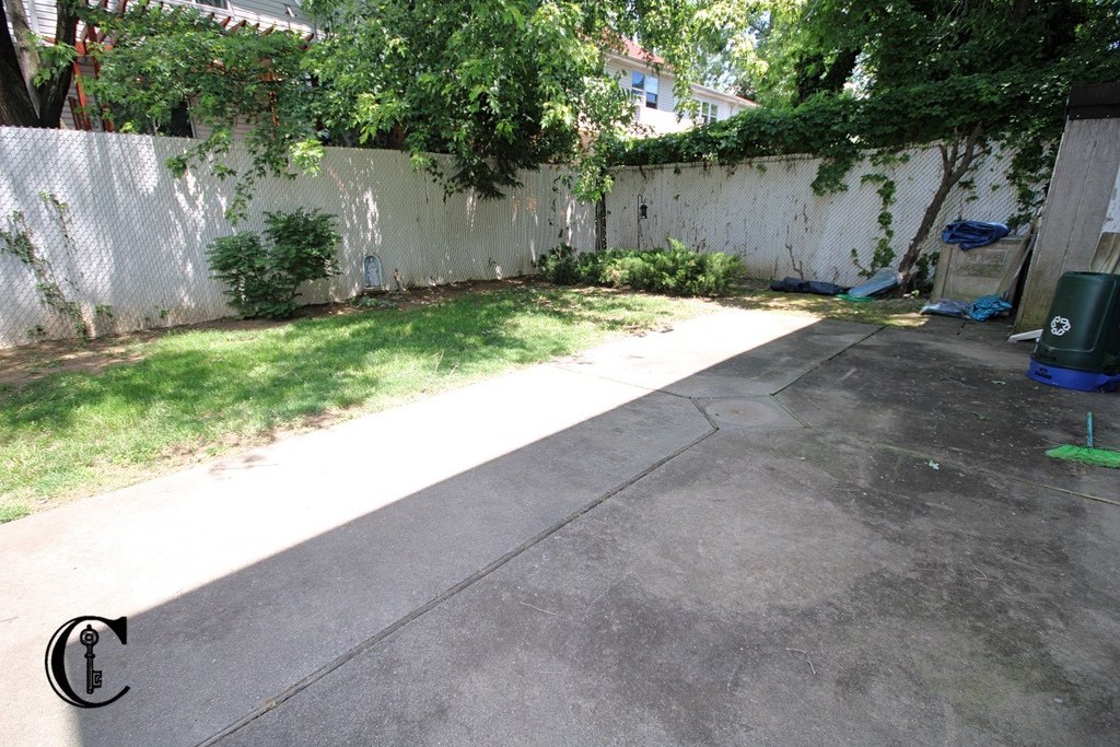 Picture 5