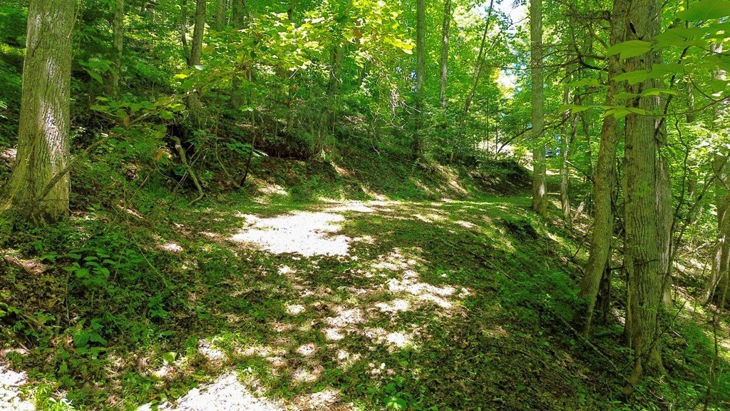 Picture 6