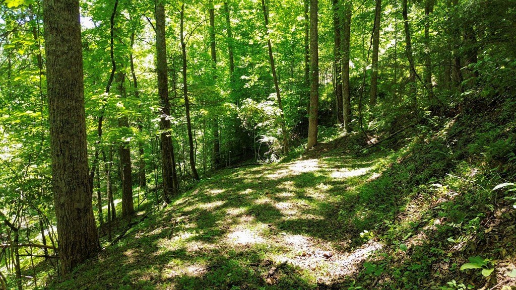 Picture 4