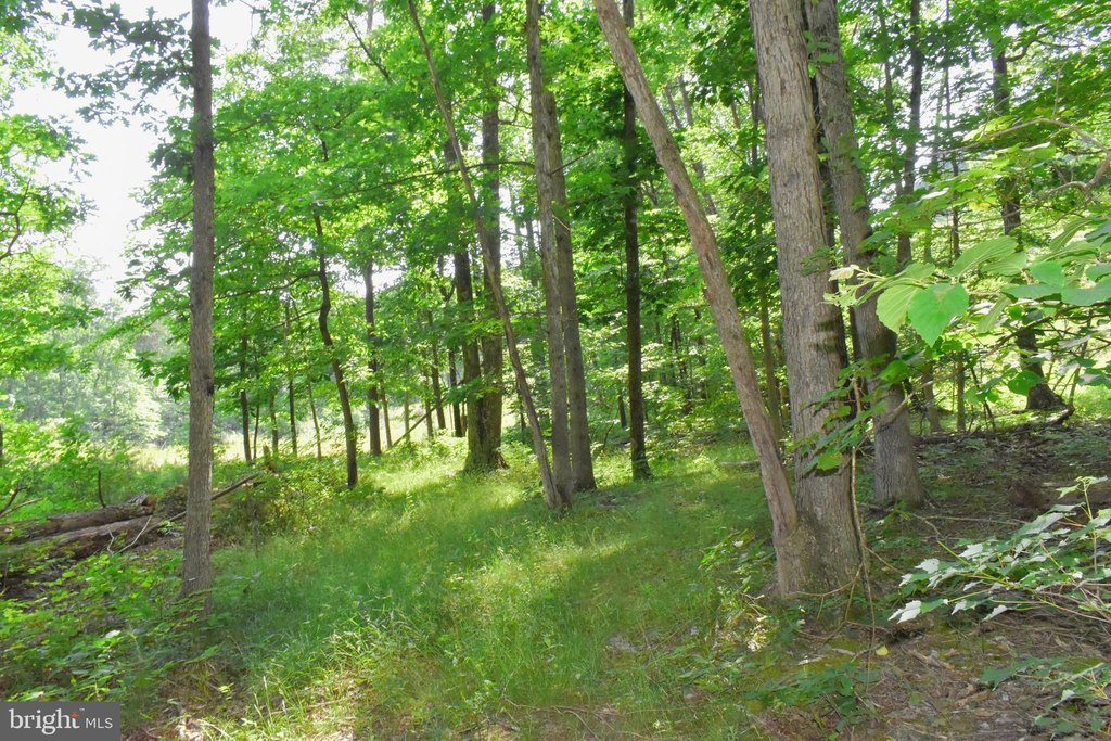 Picture 9