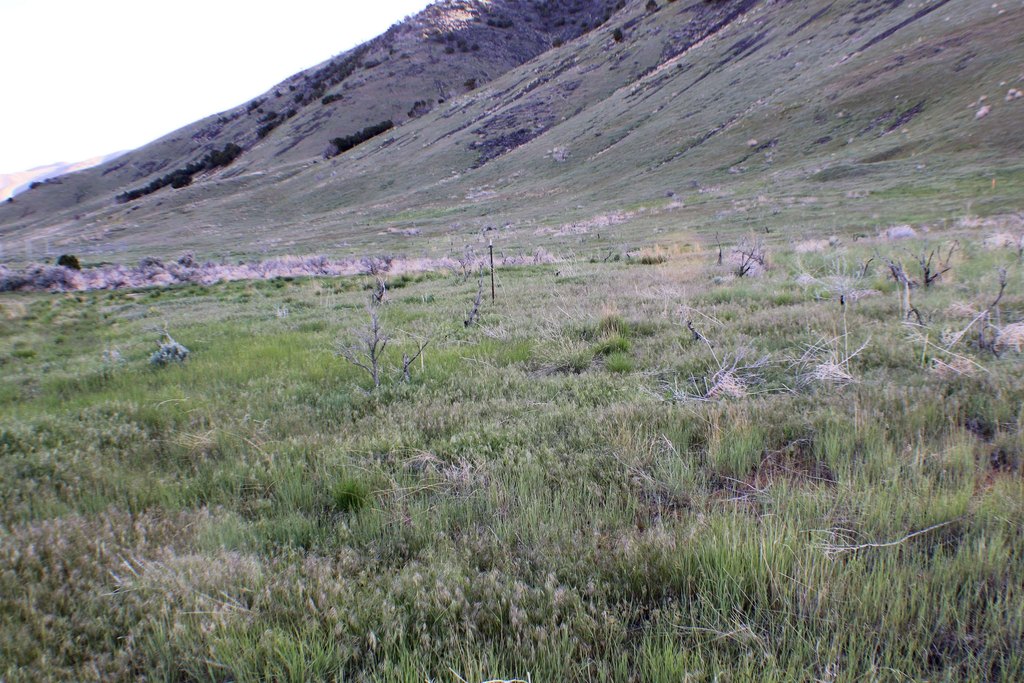 Picture 40