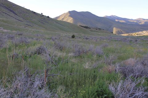 Commercial Land Development Opportunity