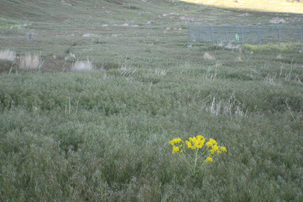 Picture 44
