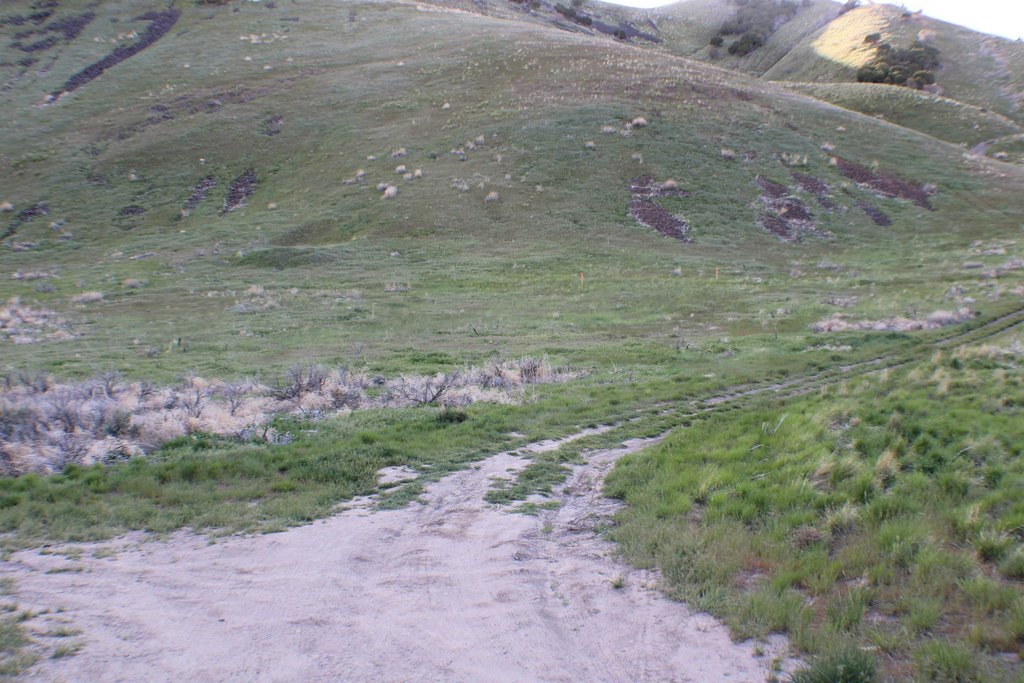 Picture 9