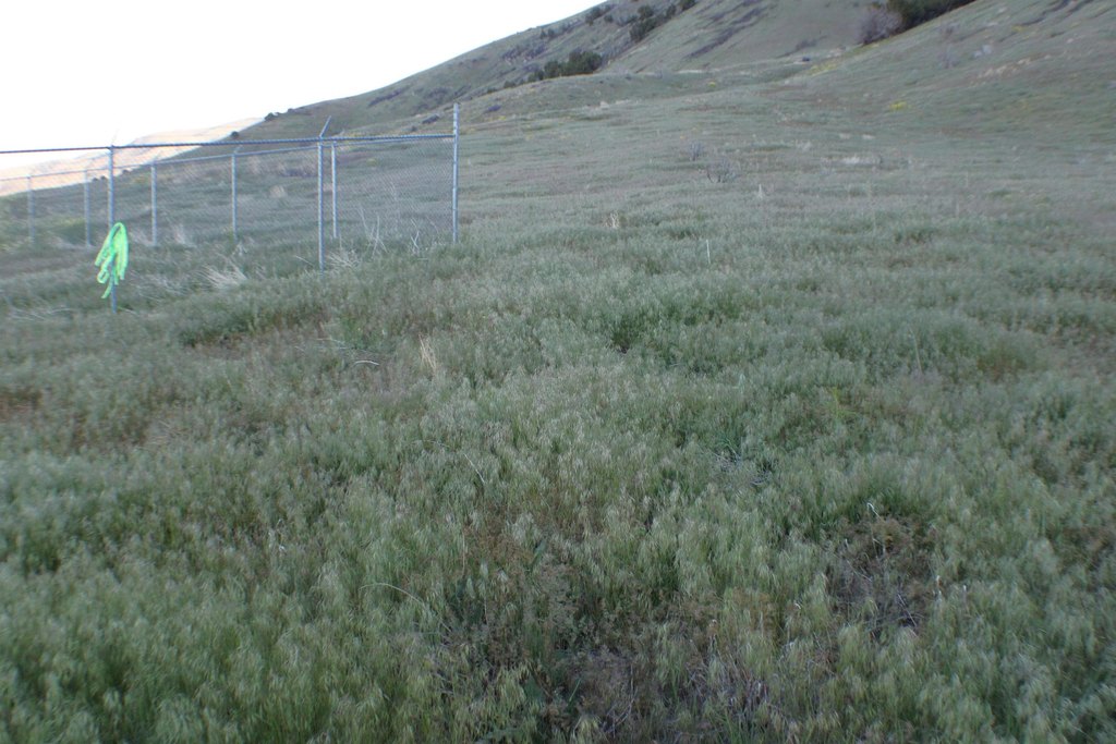 Picture 41