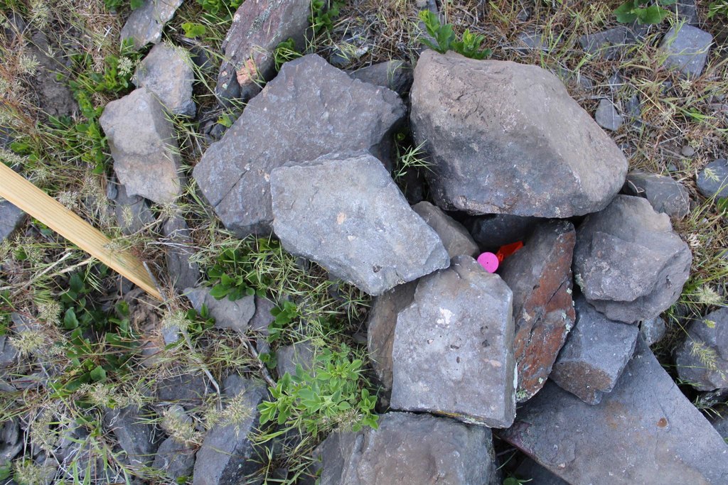Picture 30