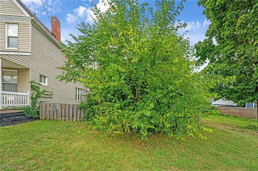 Picture 8