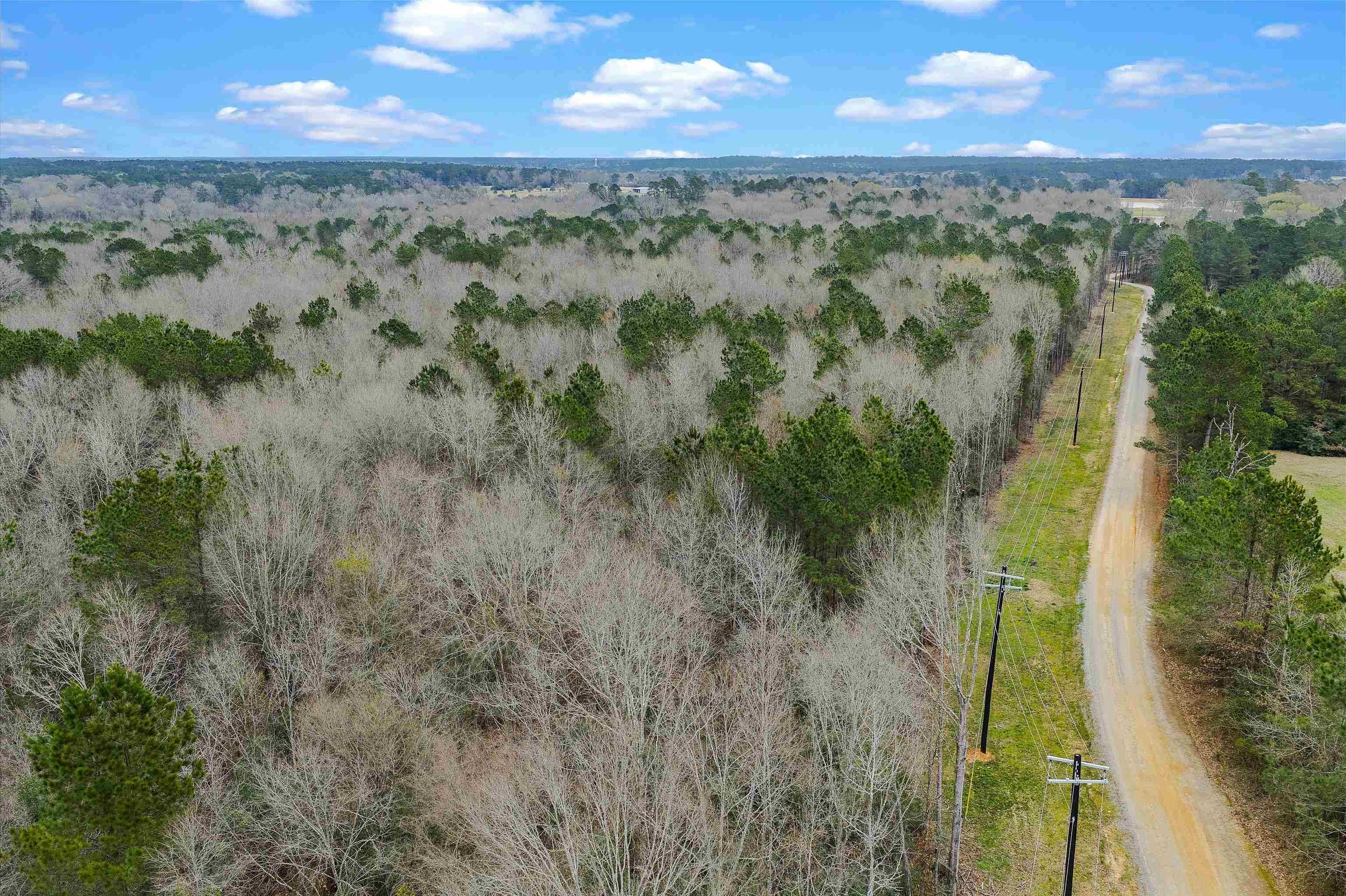 28.82 Acres Wooded Land
