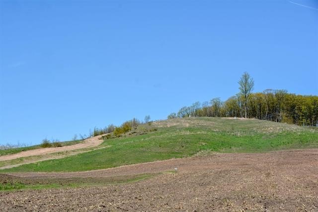 Picture 41