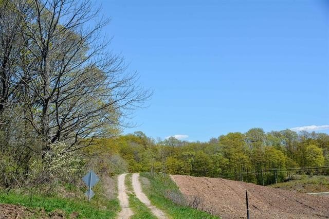 Picture 42