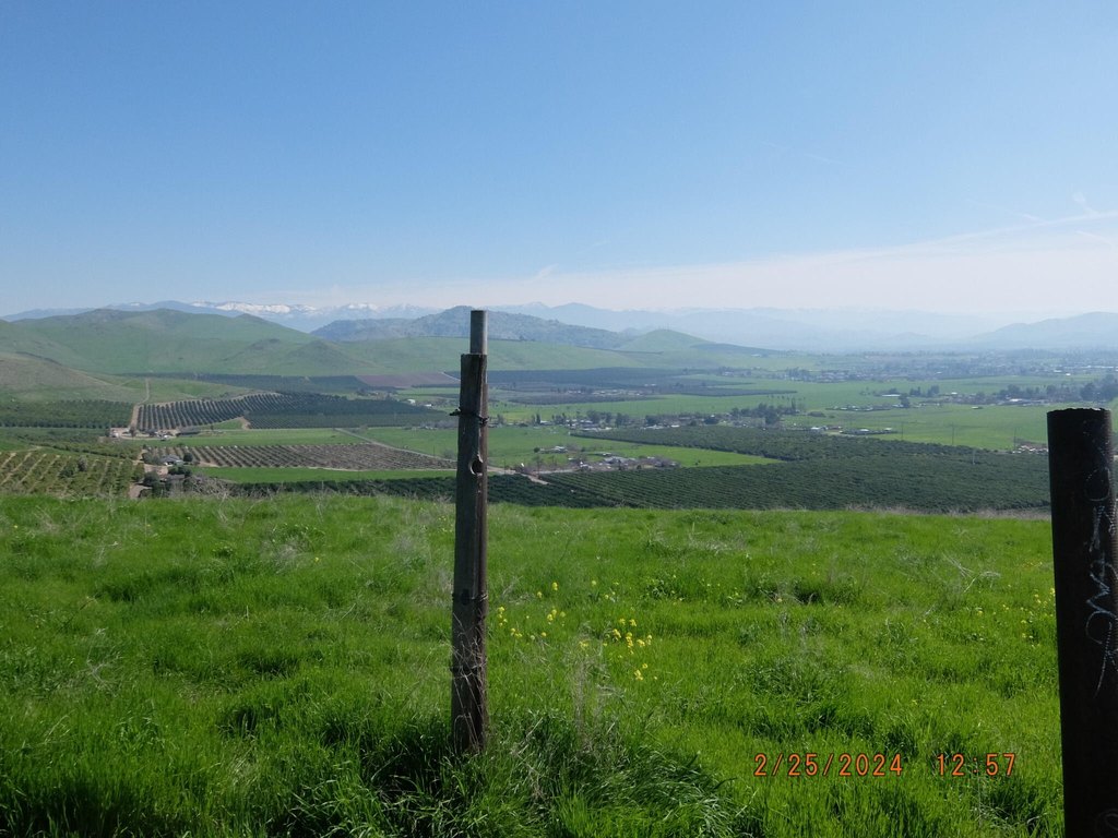 Picture 22