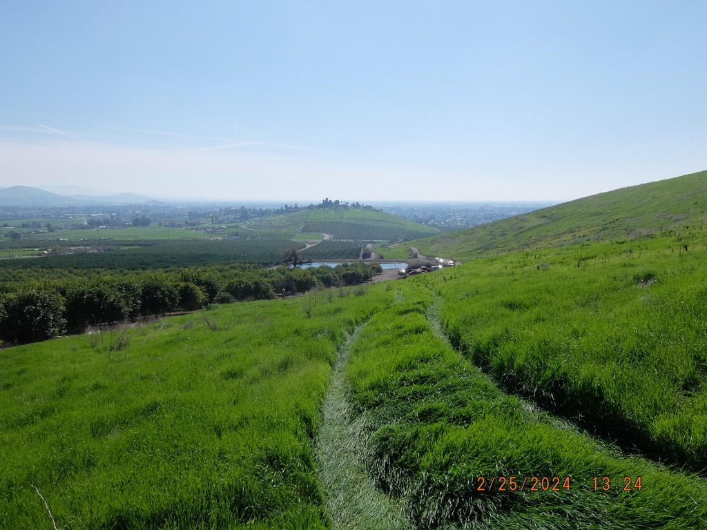 Picture 26