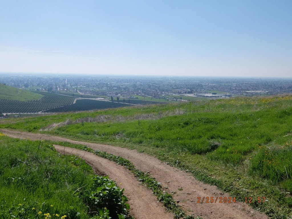 Picture 24