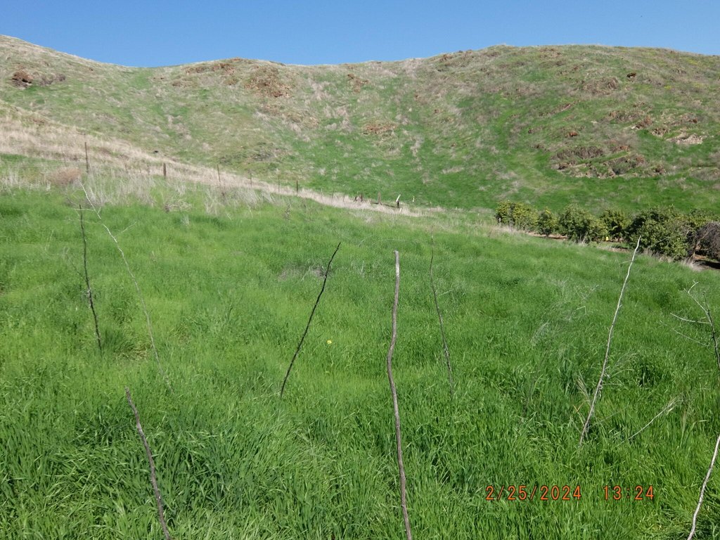 Picture 25
