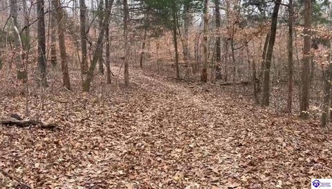 Lots and Land, Campbellsville, KY