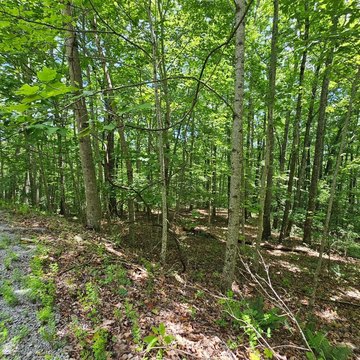 Private Nature Resort Homesite Land