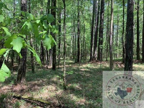 Secluded Land in Queen City