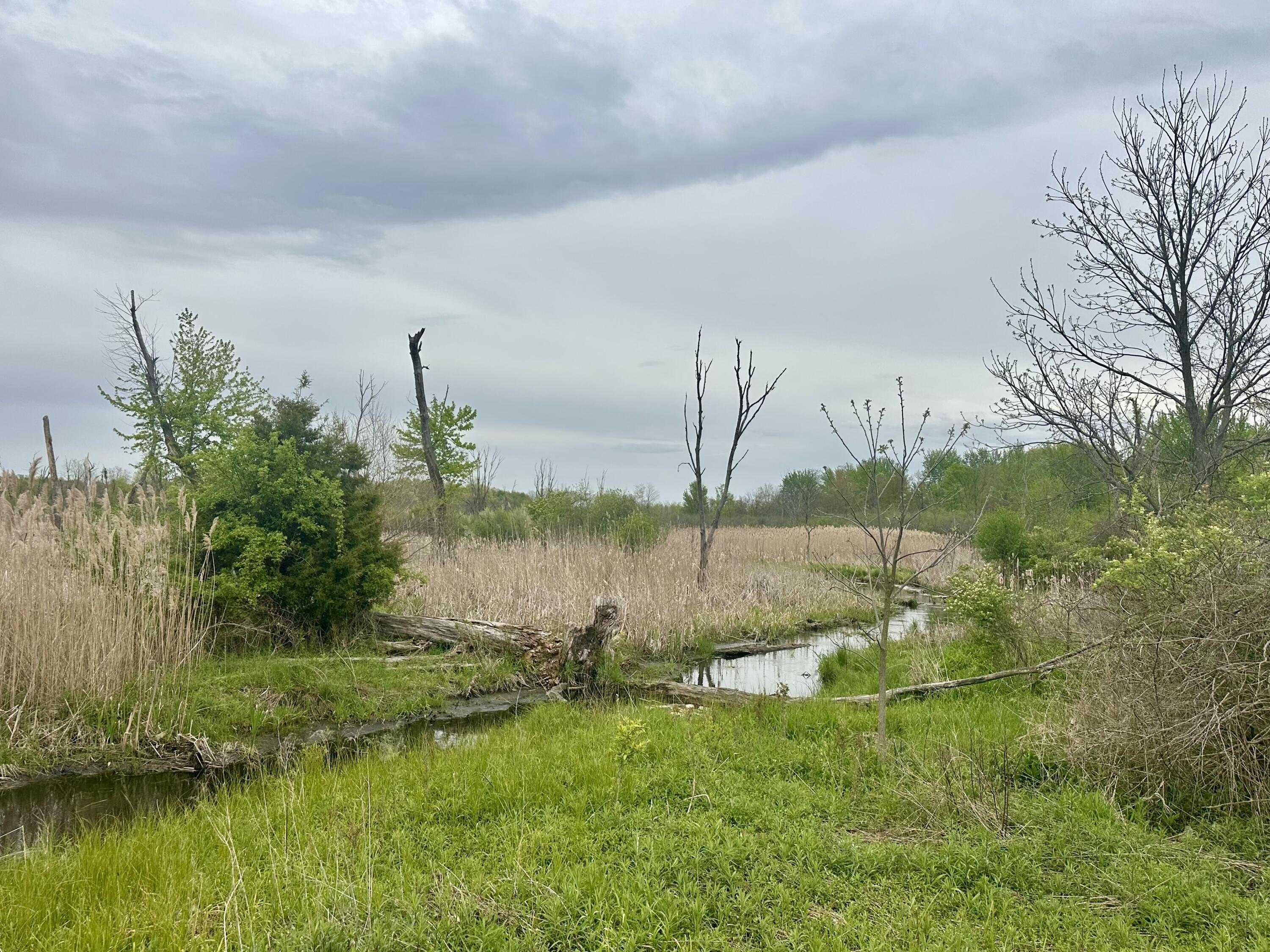 Portage Creek Recreational Land