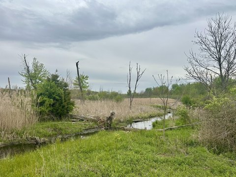 Portage Creek Recreational Land