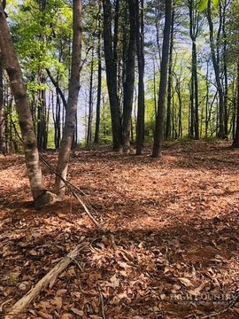Land, Ferguson, NC