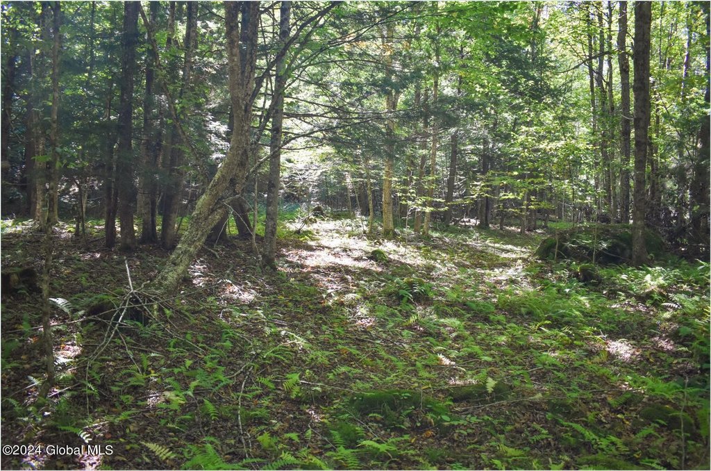 Picture 8
