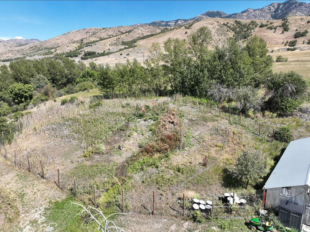 Picture 23