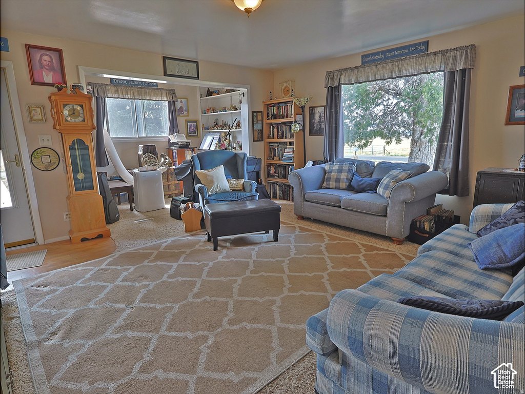 Picture 8