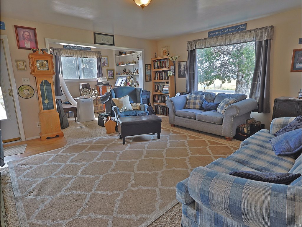 Picture 8