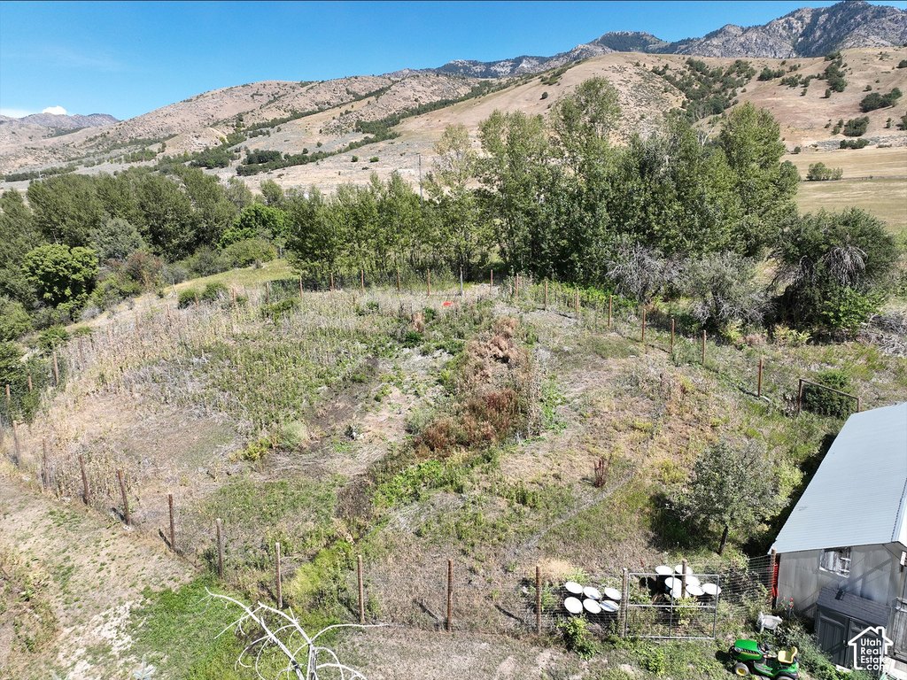 Picture 23