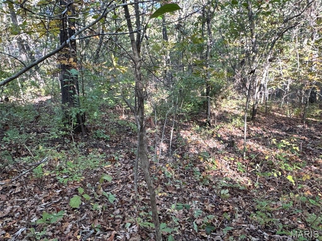 Residential Land in Bonne Terre, MO