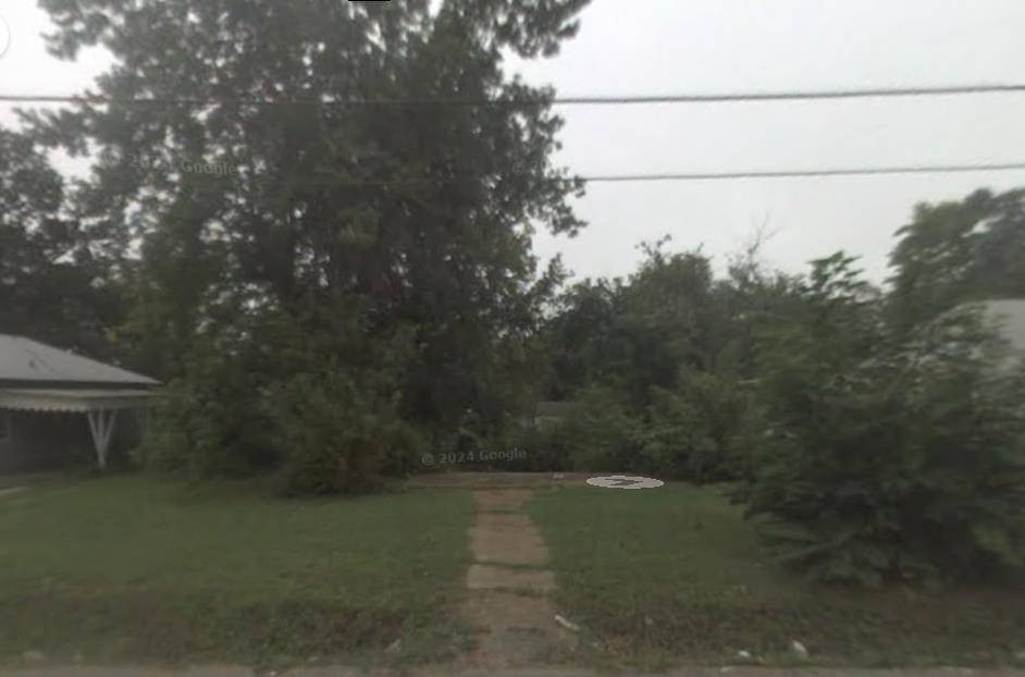 Picture 5