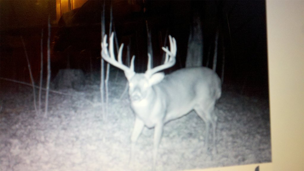 Picture 13