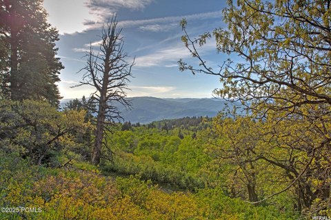 3.51-Acre Homesite in Coalville, UT