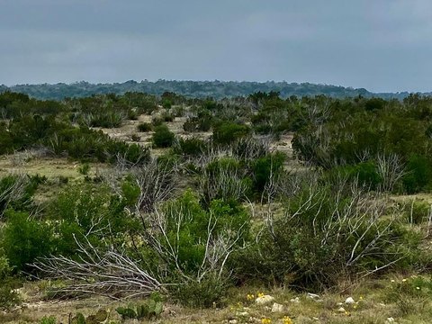Land Near Devils River