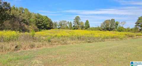 LAND/LOTS, MAPLESVILLE, AL