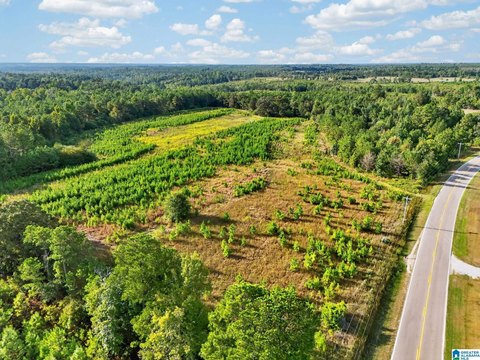 LAND/LOTS, MAPLESVILLE, AL
