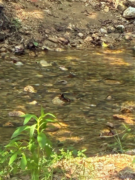 Picture 32