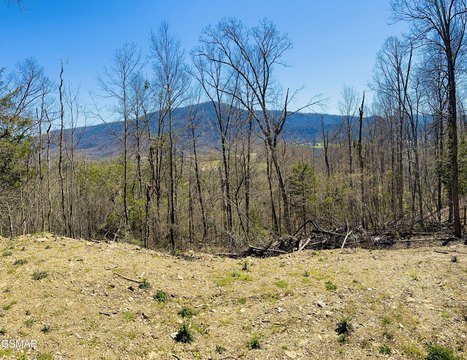 Land, Sevierville, TN