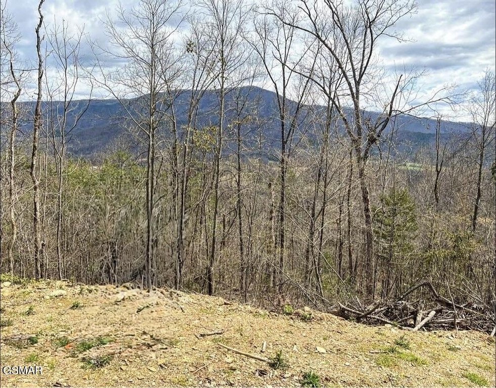 Picture 10