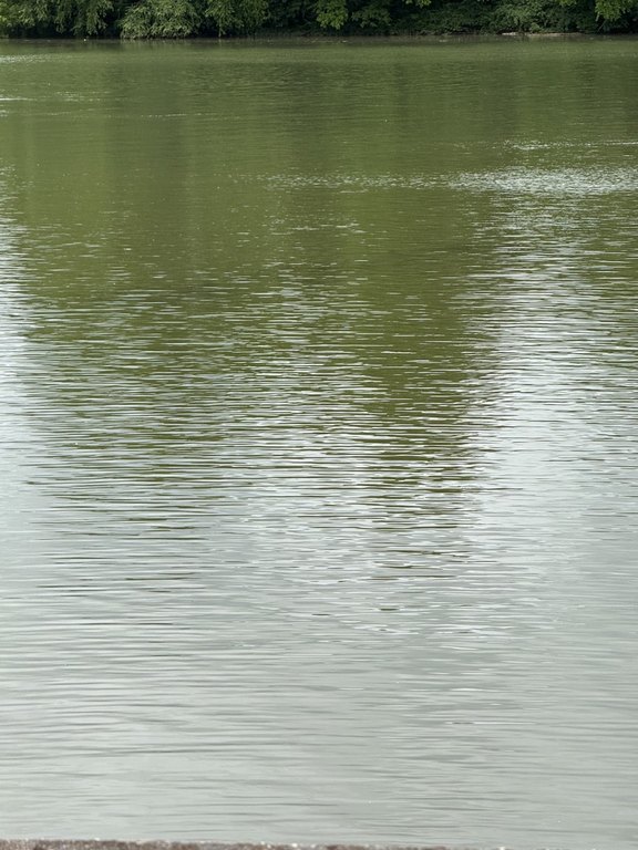 Picture 44
