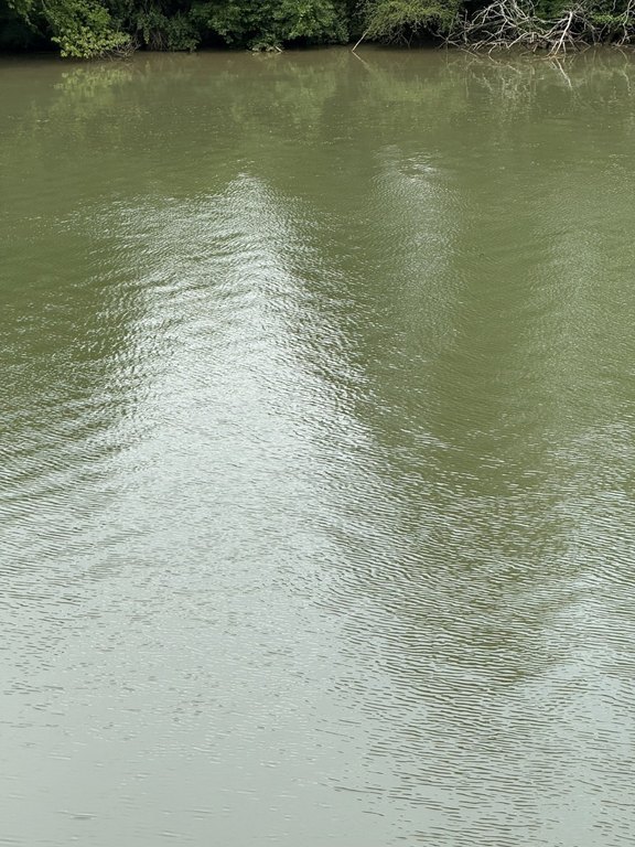 Picture 46