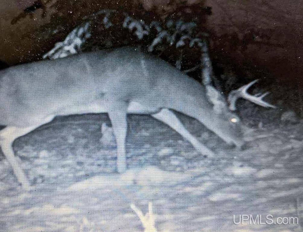 Picture 20