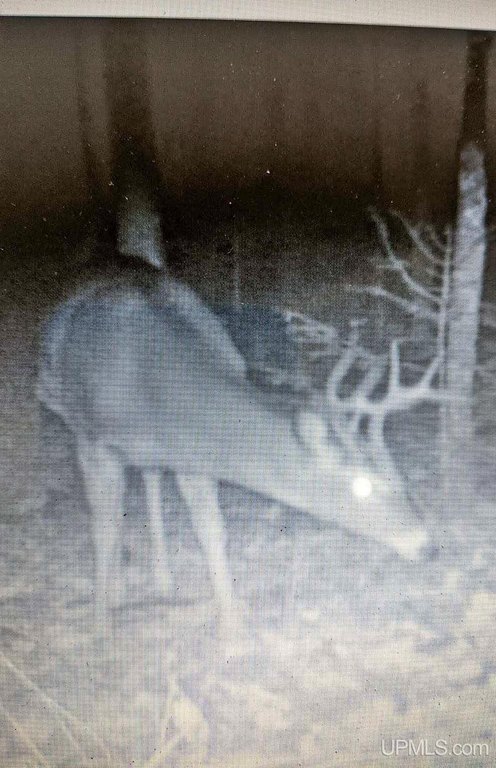 Picture 18