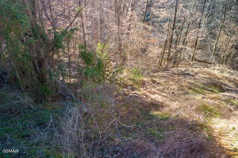 Sevierville Land in Grandview Resorts